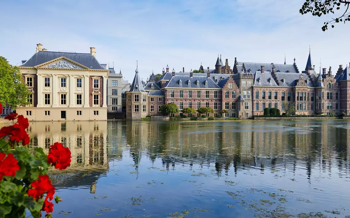 EMDR Grants Den Haag